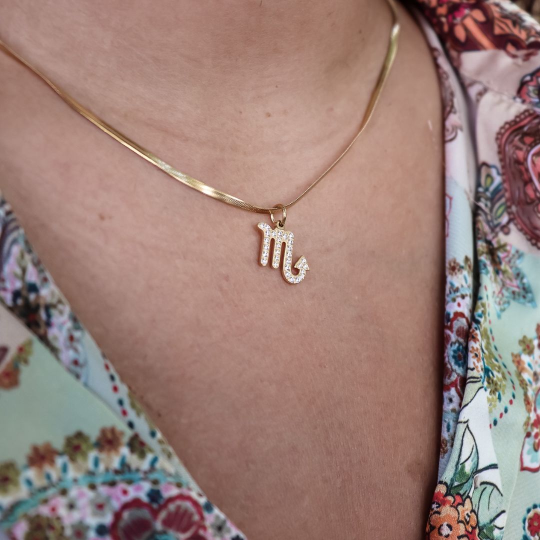 Necklace zodiac sign (12 signs)