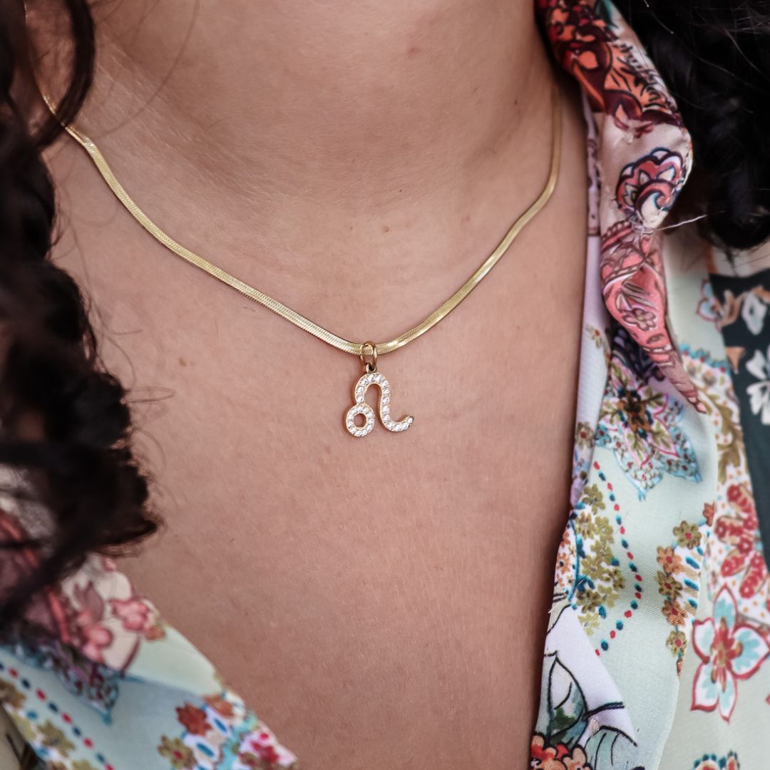 Necklace zodiac sign (12 signs)